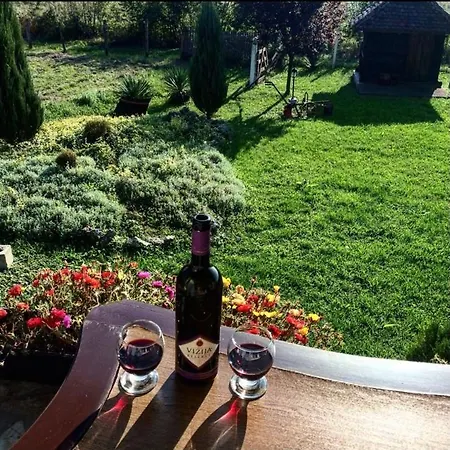Rodjak Sa Sela Villa