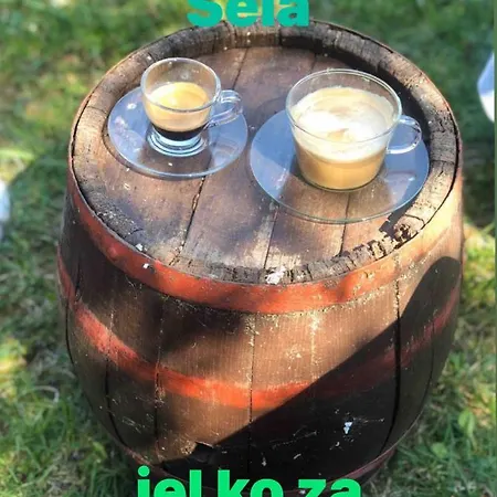 Rodjak Sa Sela Villa Mionica