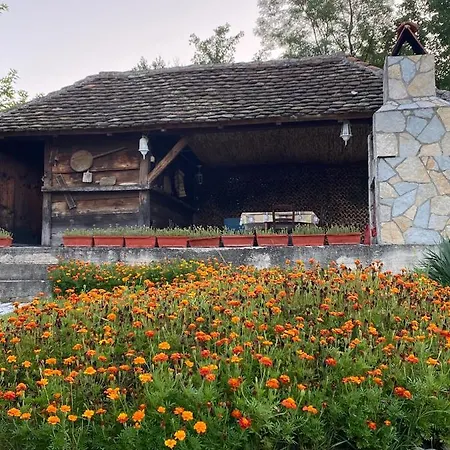 Villa Rodjak Sa Sela Mionica