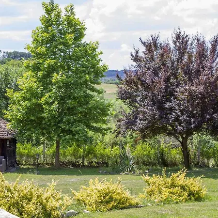 Rodjak Sa Sela * Mionica